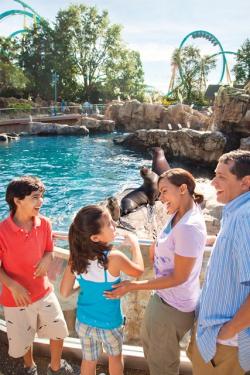 Vacation Packages at Orlando Theme Park SeaWorld